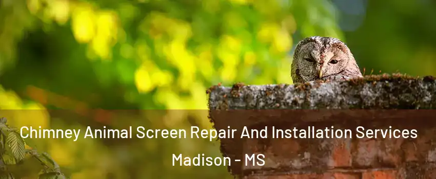  Chimney Animal Screen Repair And Installation Services Madison - MS