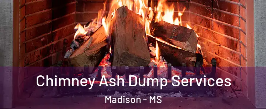  Chimney Ash Dump Services Madison - MS