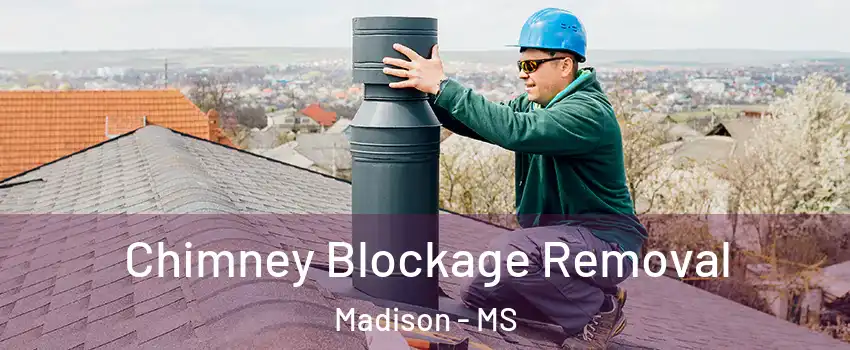  Chimney Blockage Removal Madison - MS