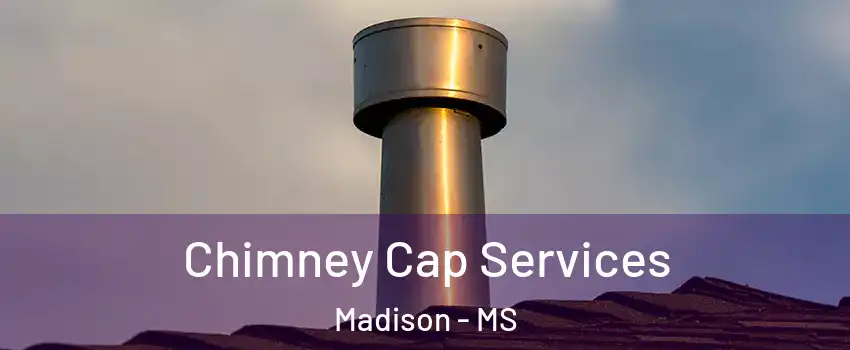  Chimney Cap Services Madison - MS