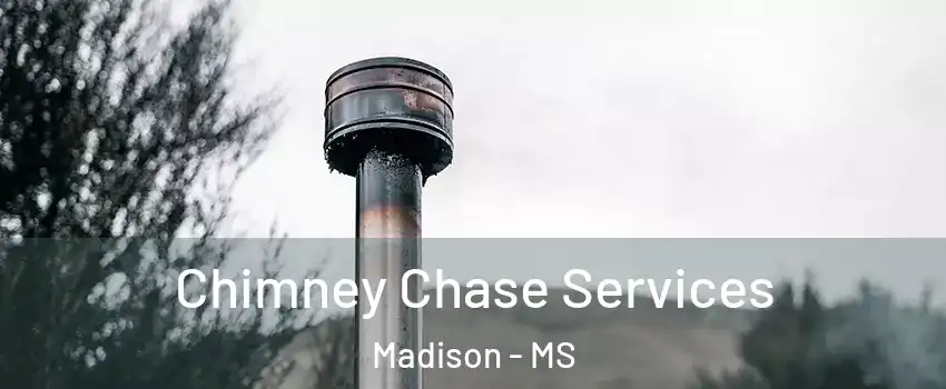  Chimney Chase Services Madison - MS