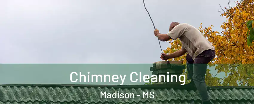 Chimney Cleaning Madison - MS