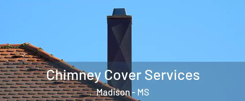  Chimney Cover Services Madison - MS