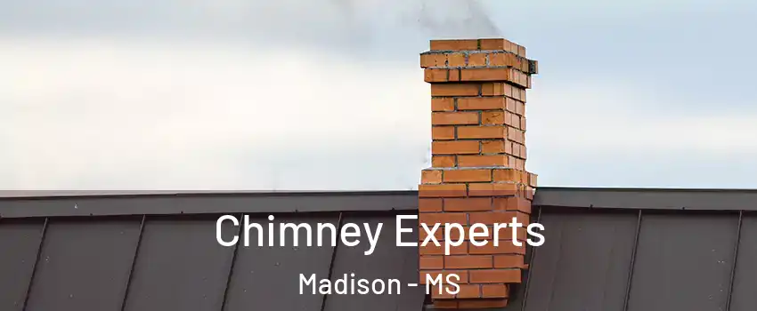 Chimney Experts Madison - MS