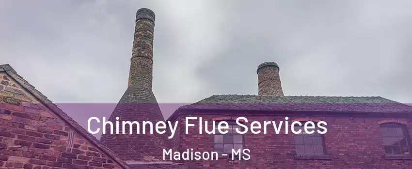  Chimney Flue Services Madison - MS