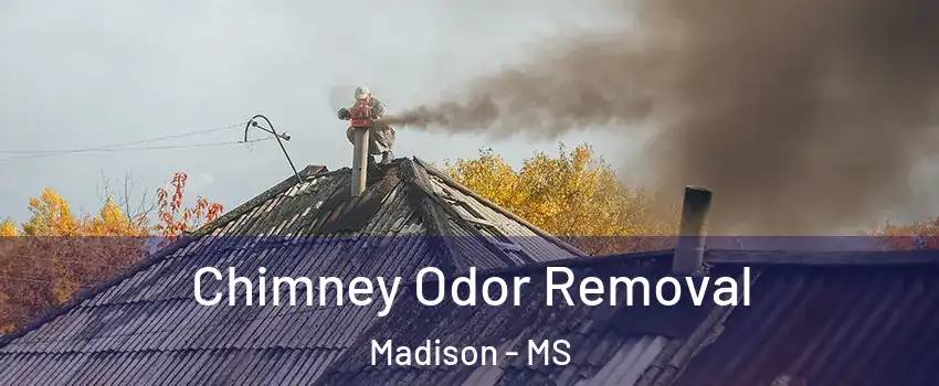  Chimney Odor Removal Madison - MS