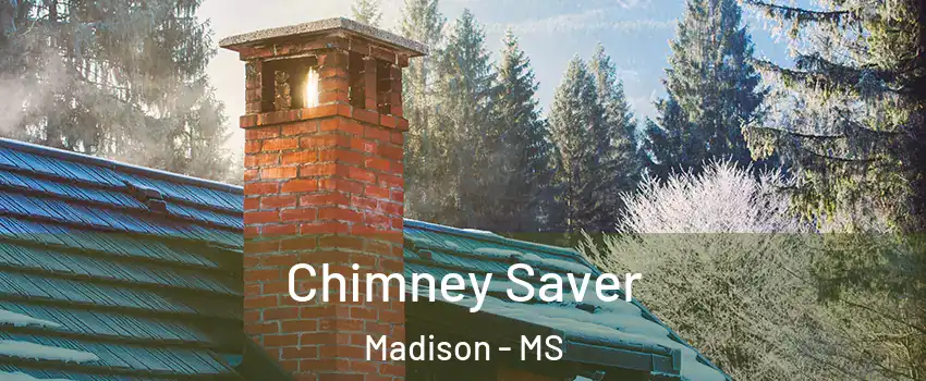  Chimney Saver Madison - MS