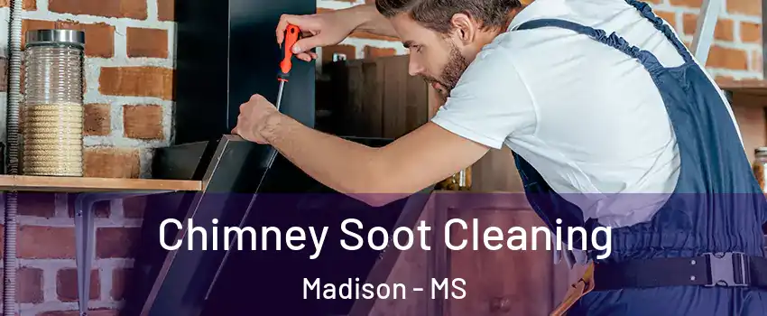  Chimney Soot Cleaning Madison - MS