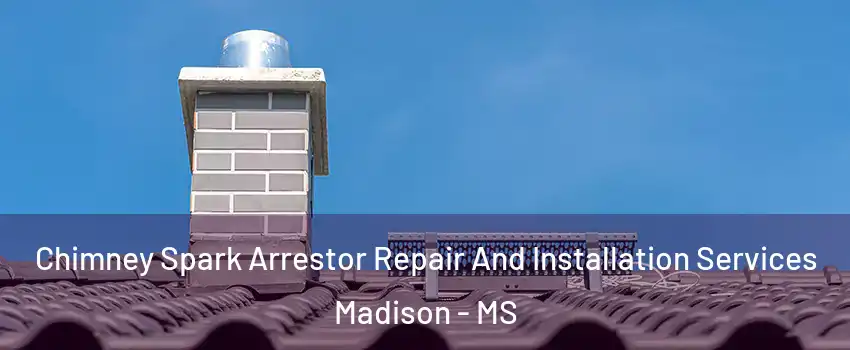  Chimney Spark Arrestor Repair And Installation Services Madison - MS