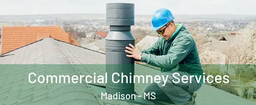  Commercial Chimney Services Madison - MS