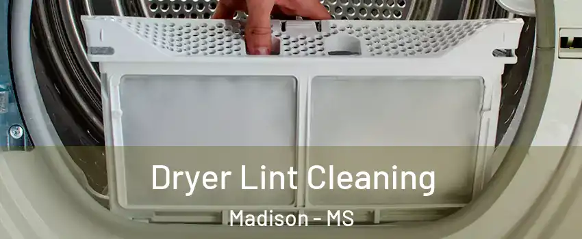  Dryer Lint Cleaning Madison - MS