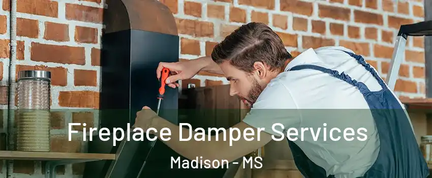  Fireplace Damper Services Madison - MS