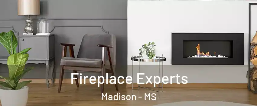  Fireplace Experts Madison - MS