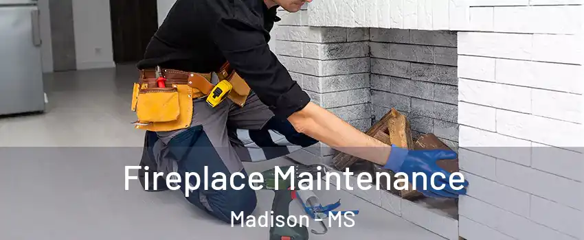  Fireplace Maintenance Madison - MS