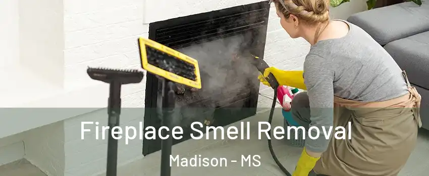  Fireplace Smell Removal Madison - MS