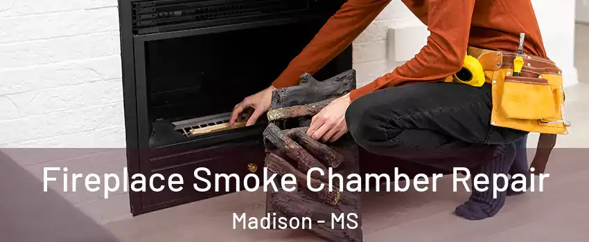 Fireplace Smoke Chamber Repair Madison - MS