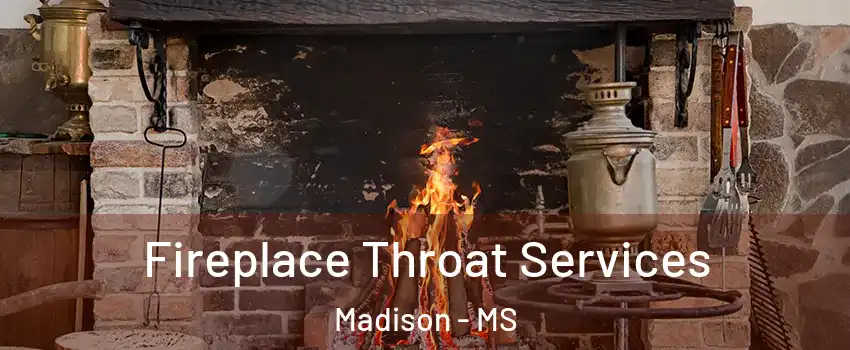  Fireplace Throat Services Madison - MS