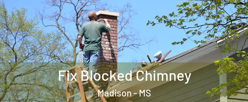  Fix Blocked Chimney Madison - MS