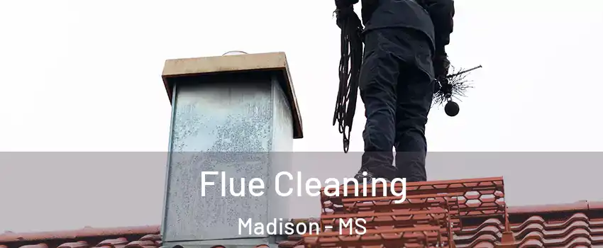  Flue Cleaning Madison - MS