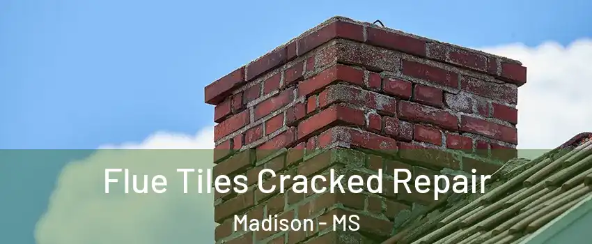  Flue Tiles Cracked Repair Madison - MS