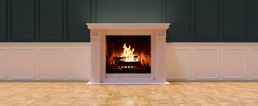 Napoleon Electric Fireplaces Inspection Service in Madison, Mississippi