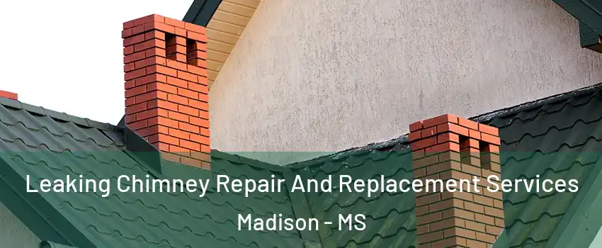  Leaking Chimney Repair And Replacement Services Madison - MS