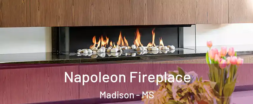  Napoleon Fireplace Madison - MS